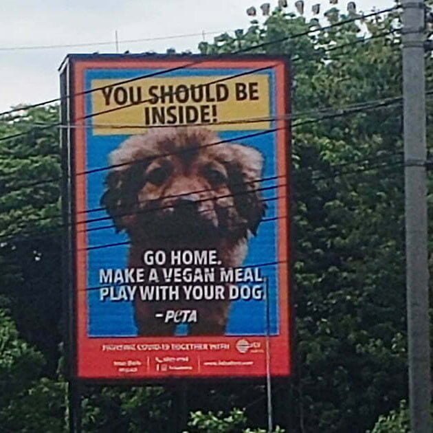 PETA's 