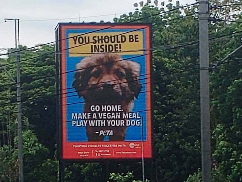 PETA's 